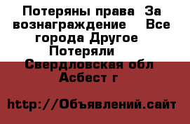Потеряны права. За вознаграждение. - Все города Другое » Потеряли   . Свердловская обл.,Асбест г.